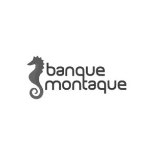 montaque-logo